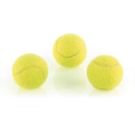 Mini-Tennisbälle 3Stk. Hundespielzeug