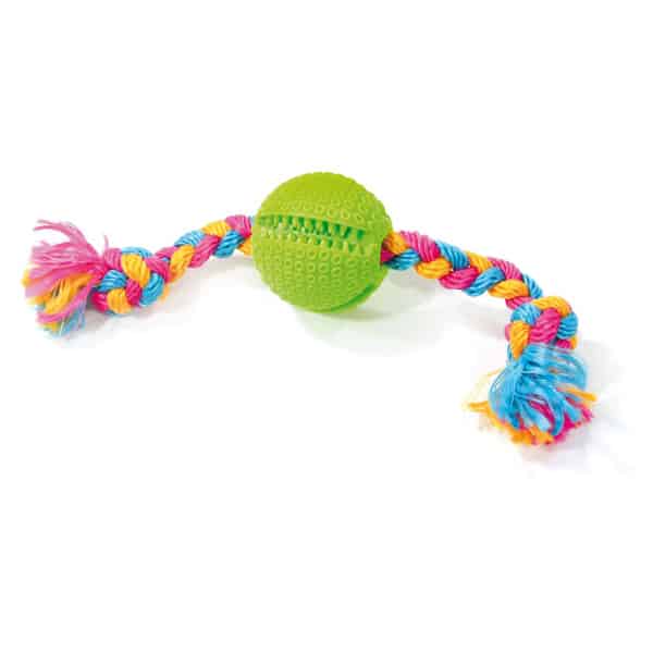 Whoopi Bone mit Dentalball Hundespielzeug
