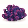 aquarium deko koralle violett deko