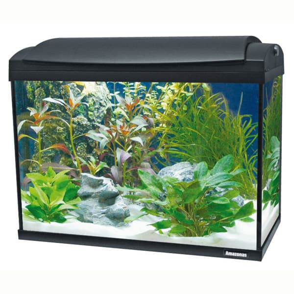 aquarium set komplett kaufen online 206455