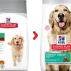 hills veterinary perfect weight grosse hunde