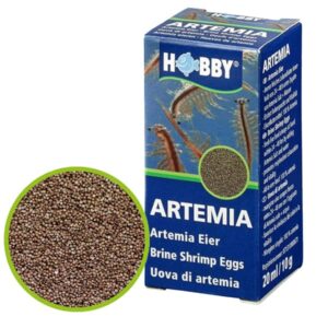hobby artemia eier kaufen
