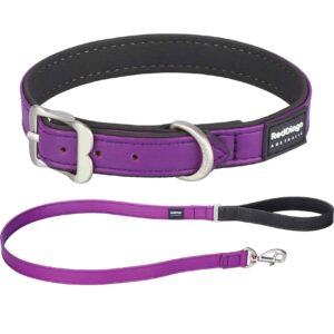 hunde halsband leine purple red dingo 1