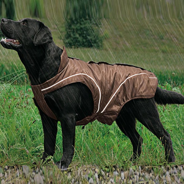 hunde regenmantel winter hundemante 1
