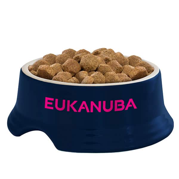 hundefutter developing junior Eukanuba