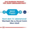 hundefutter royal canin maxi puppy
