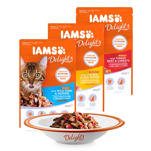IAMS Delights in Jelly