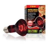 infrarot 75w lampe infrared spot