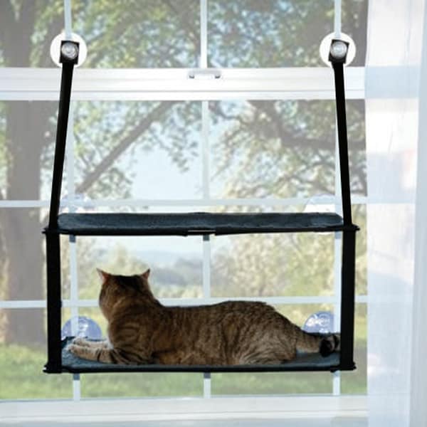 für große Katzen bis 25 kg für große Fenster Dracarys Katzen hängematte Fenster Sonnenbad Katzenbett Haustierbett Verstärkte Katzenhängematte mit starkem Saugnapf 