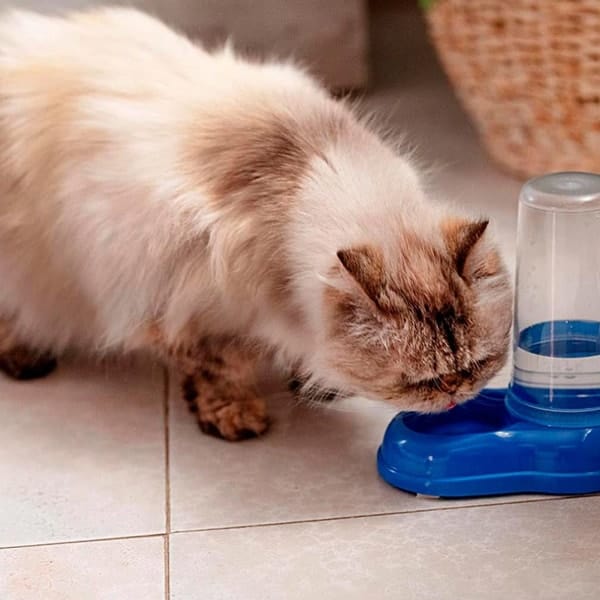 Katzen wasserspender Ferplast azimut