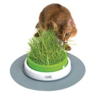 katzengras catit senses grass planter