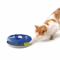 katzenspielzeug catsy roundable swisspet