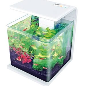 led kleines aquarium weiss buero 206506