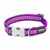 reflektierendes hunde halsband purple xs 1