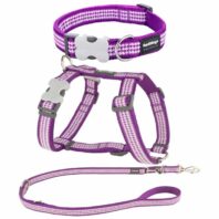 violettes brustgeschirr halsband und leine 1